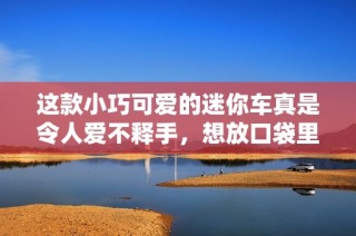 这款小巧可爱的迷你车真是令人爱不释手，想放口袋里！