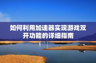 如何利用加速器实现游戏双开功能的详细指南