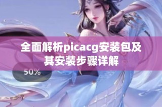 全面解析picacg安装包及其安装步骤详解
