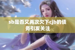 sb是否又再次欠下cjb的债务引发关注