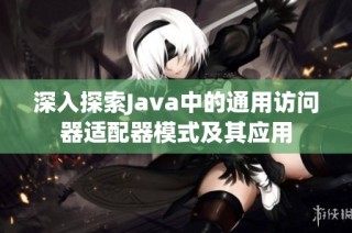 深入探索Java中的通用访问器适配器模式及其应用