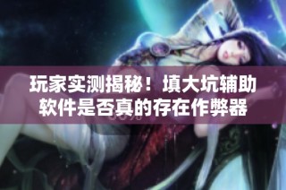 玩家实测揭秘！填大坑辅助软件是否真的存在作弊器