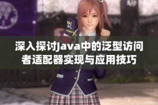深入探讨Java中的泛型访问者适配器实现与应用技巧