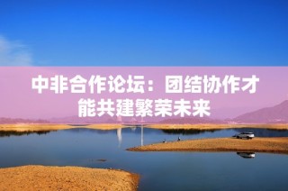 中非合作论坛：团结协作才能共建繁荣未来