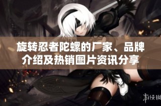 旋转忍者陀螺的厂家、品牌介绍及热销图片资讯分享