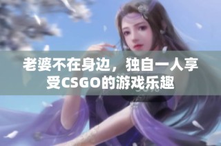 老婆不在身边，独自一人享受CSGO的游戏乐趣