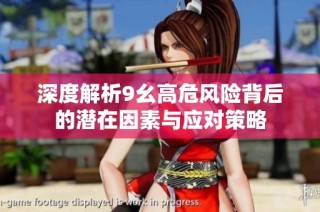 深度解析9幺高危风险背后的潜在因素与应对策略