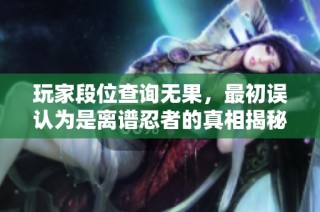 玩家段位查询无果，最初误认为是离谱忍者的真相揭秘