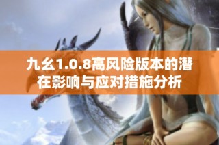 九幺1.0.8高风险版本的潜在影响与应对措施分析