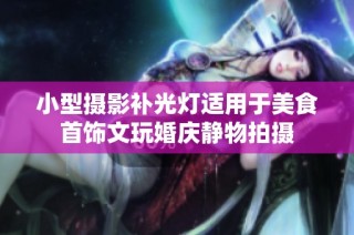 小型摄影补光灯适用于美食首饰文玩婚庆静物拍摄