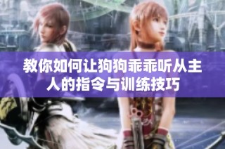 教你如何让狗狗乖乖听从主人的指令与训练技巧