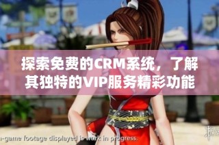 探索免费的CRM系统，了解其独特的VIP服务精彩功能