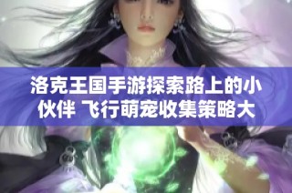 洛克王国手游探索路上的小伙伴 飞行萌宠收集策略大全