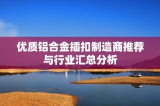 优质铝合金插扣制造商推荐与行业汇总分析
