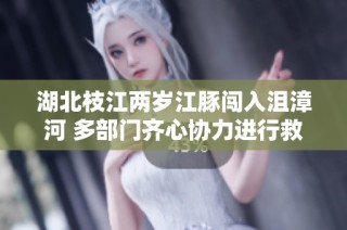 湖北枝江两岁江豚闯入沮漳河 多部门齐心协力进行救援