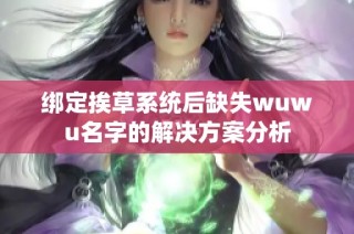 绑定挨草系统后缺失wuwu名字的解决方案分析