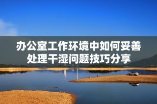 办公室工作环境中如何妥善处理干湿问题技巧分享