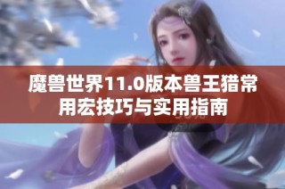 魔兽世界11.0版本兽王猎常用宏技巧与实用指南