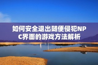 如何安全退出随便侵犯NPC界面的游戏方法解析