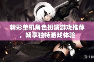 精彩单机角色扮演游戏推荐，畅享独特游戏体验
