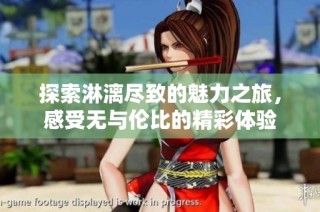 探索淋漓尽致的魅力之旅，感受无与伦比的精彩体验
