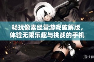 畅玩像素经营游戏破解版，体验无限乐趣与挑战的手机游戏选择