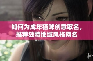 如何为成年猫咪创意取名，推荐独特地域风格网名