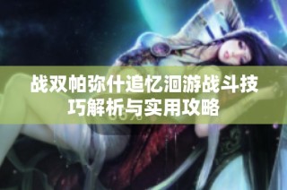 战双帕弥什追忆洄游战斗技巧解析与实用攻略