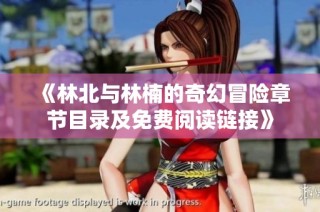 《林北与林楠的奇幻冒险章节目录及免费阅读链接》