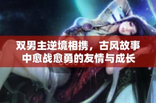 双男主逆境相携，古风故事中愈战愈勇的友情与成长