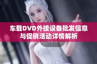 车载DVD外接设备批发信息与促销活动详情解析