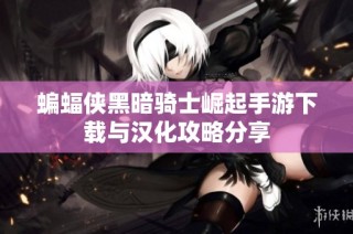 蝙蝠侠黑暗骑士崛起手游下载与汉化攻略分享