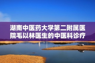 湖南中医药大学第二附属医院毛以林医生的中医科诊疗特色与经验分享