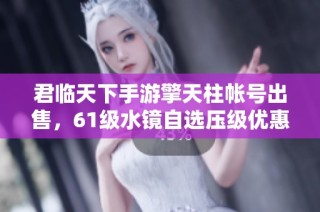 君临天下手游擎天柱帐号出售，61级水镜自选压级优惠信息分享
