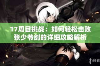 17周目挑战：如何轻松击败张少爷剑的详细攻略解析