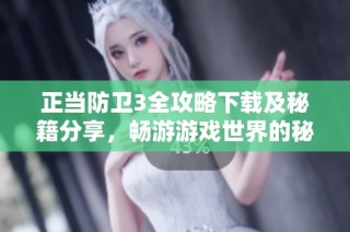 正当防卫3全攻略下载及秘籍分享，畅游游戏世界的秘钥