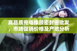 高品质充电橡胶密封圈批发，市场促销价格及产地分析