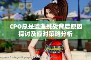 CPO总是遭遇挑战背后原因探讨及应对策略分析