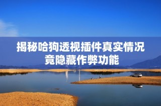 揭秘哈狗透视插件真实情况 竟隐藏作弊功能