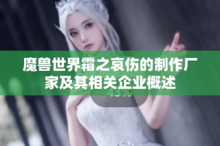 魔兽世界霜之哀伤的制作厂家及其相关企业概述
