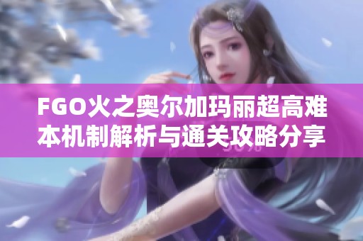 FGO火之奥尔加玛丽超高难本机制解析与通关攻略分享