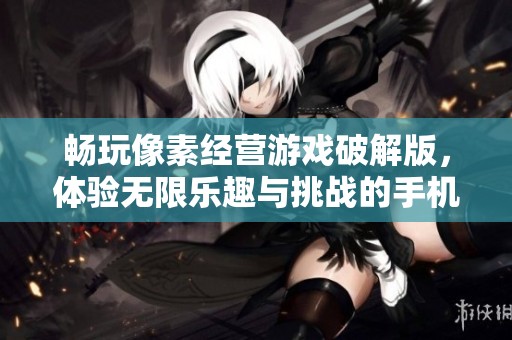 畅玩像素经营游戏破解版，体验无限乐趣与挑战的手机游戏选择