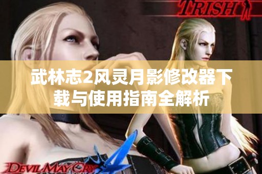 武林志2风灵月影修改器下载与使用指南全解析