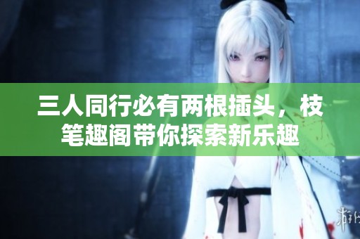 三人同行必有两根插头，枝笔趣阁带你探索新乐趣
