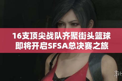 16支顶尖战队齐聚街头篮球 即将开启SFSA总决赛之旅