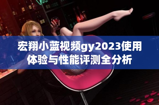 宏翔小蓝视频gy2023使用体验与性能评测全分析