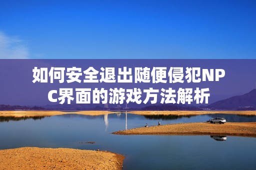 如何安全退出随便侵犯NPC界面的游戏方法解析