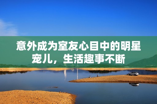 意外成为室友心目中的明星宠儿，生活趣事不断