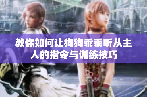 教你如何让狗狗乖乖听从主人的指令与训练技巧
