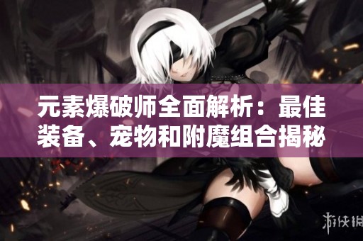 元素爆破师全面解析：最佳装备、宠物和附魔组合揭秘